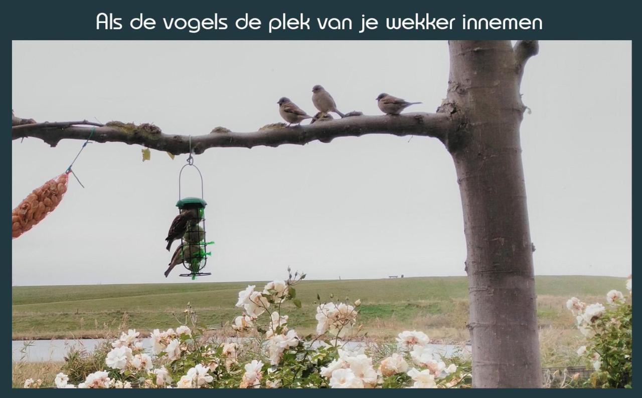 Vakantiewoning Deltahof Ellewoutsdijk Esterno foto