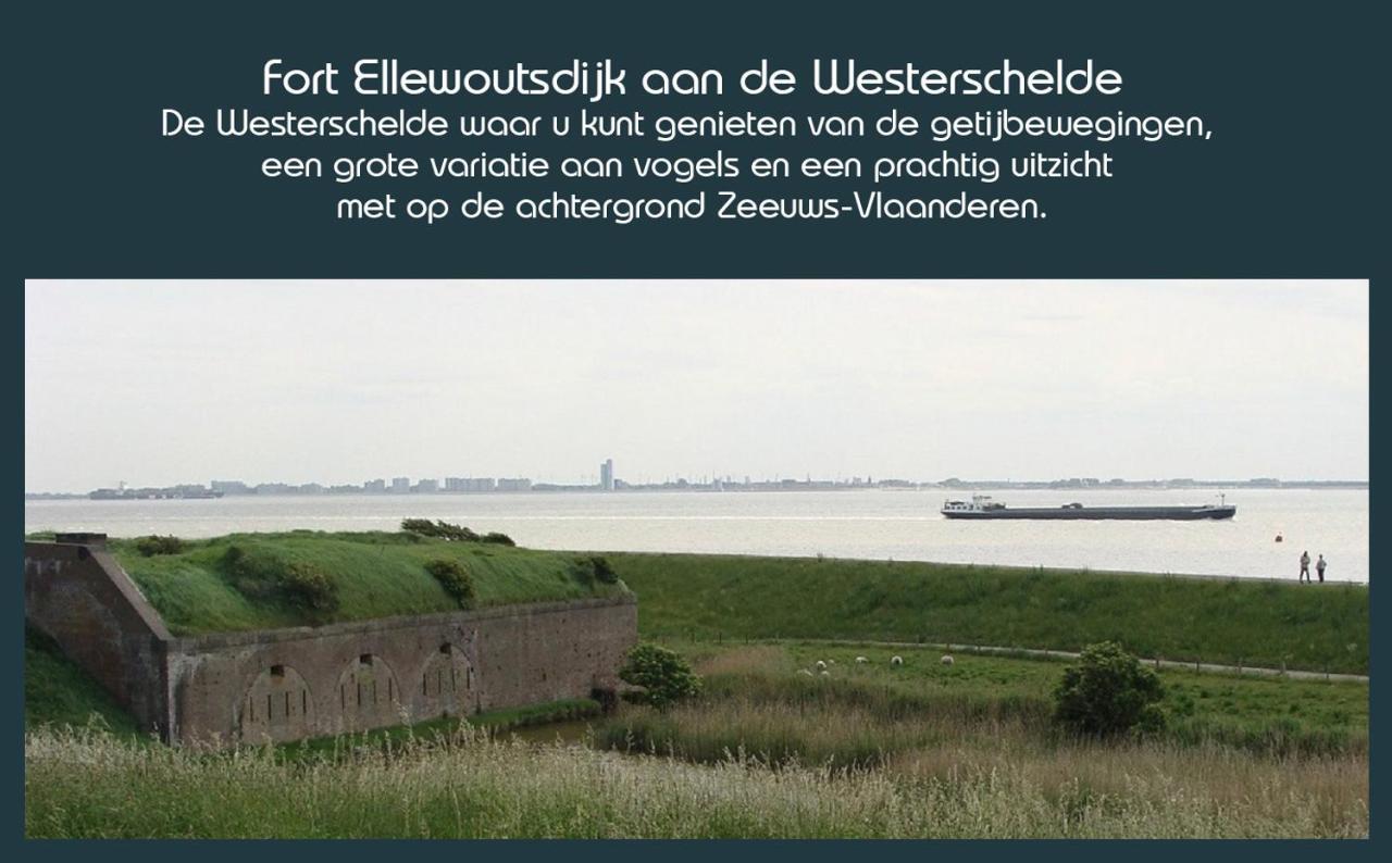 Vakantiewoning Deltahof Ellewoutsdijk Esterno foto