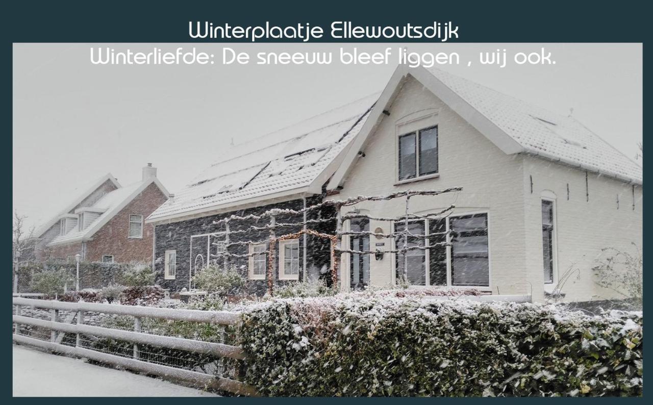 Vakantiewoning Deltahof Ellewoutsdijk Esterno foto