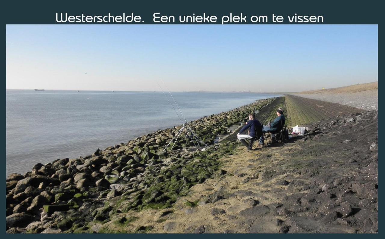 Vakantiewoning Deltahof Ellewoutsdijk Esterno foto