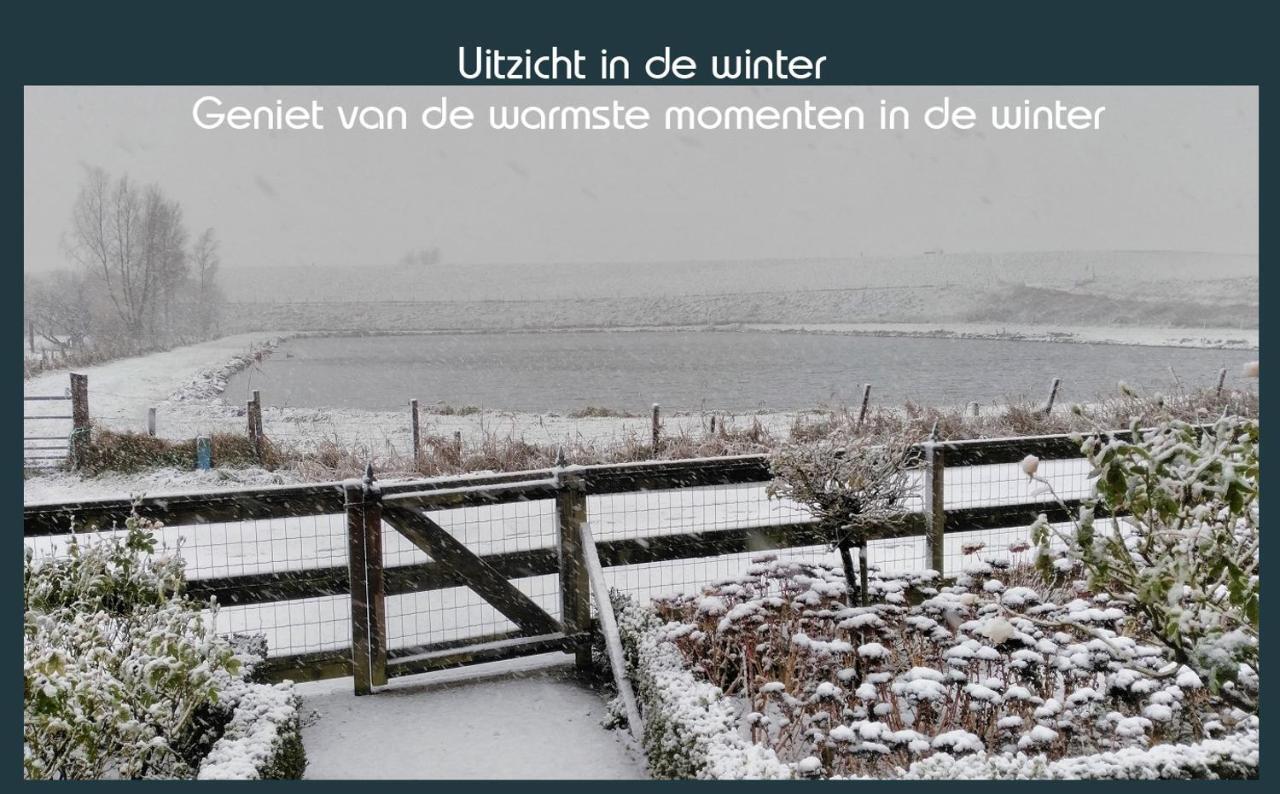 Vakantiewoning Deltahof Ellewoutsdijk Esterno foto